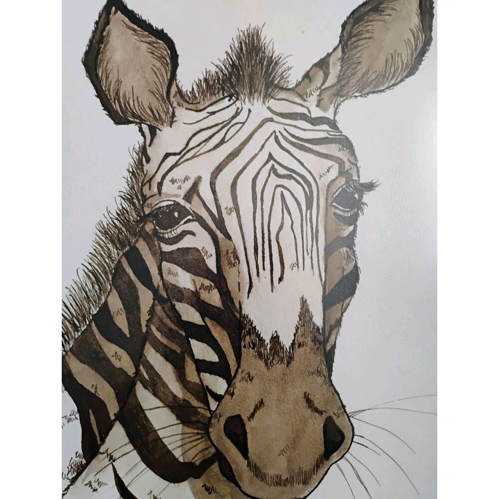Vtg Zebra Art Drawing Signed Hackett 1977 Framed Pen Ink Safari Wildlife
